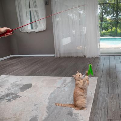 Show full view: Pet Fit For Life Cat Wands Toy, Medium slide 6 of 9