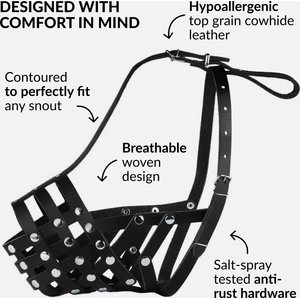 CollarDirect Pitbull Leather Strap Dog Muzzle, Black