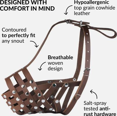 CollarDirect Pitbull Leather Strap Dog Muzzle