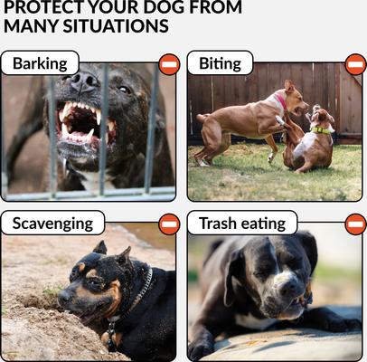 CollarDirect Pitbull Leather Strap Dog Muzzle