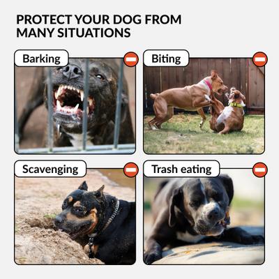 Show full view: CollarDirect Pitbull Leather Strap Dog Muzzle, Black slide 4 of 6