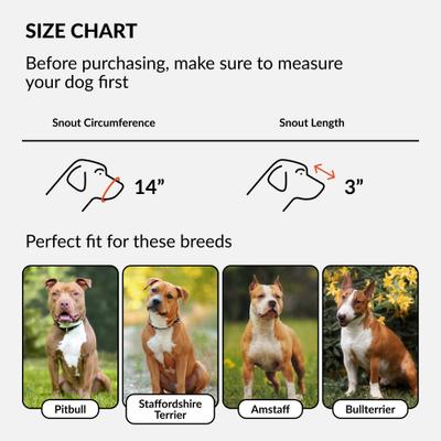 Show full view: CollarDirect Pitbull Leather Strap Dog Muzzle, Black slide 2 of 6