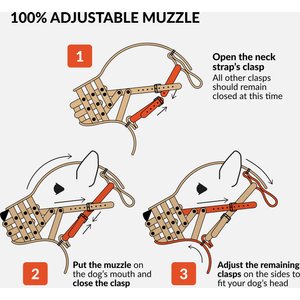 CollarDirect Pitbull Leather Strap Dog Muzzle, Black
