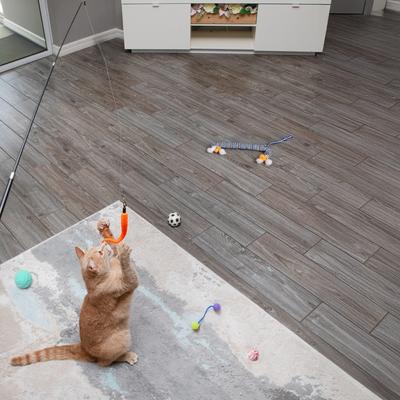 Show full view: Pet Fit For Life Cat Wands Toy, Medium slide 4 of 9