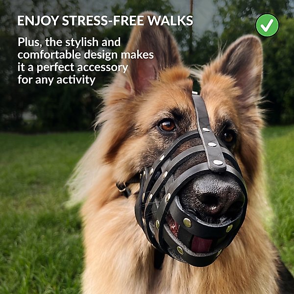 CollarDirect German Shepherd Leather Dog Muzzle