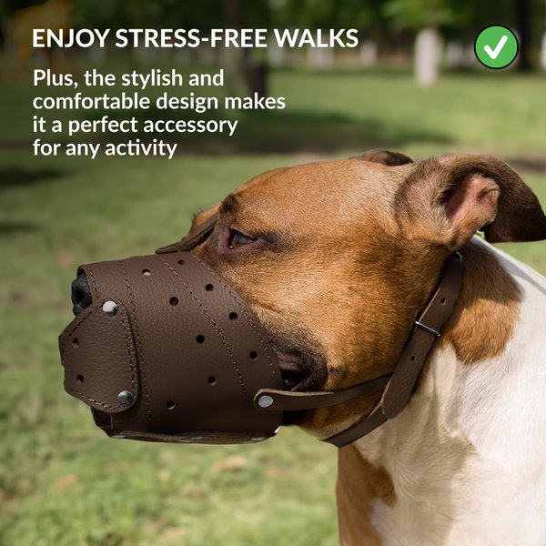 CollarDirect Pitbull Leather Closed Dog Muzzle, Black