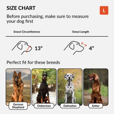 Show full view: CollarDirect German Shepherd Leather Dog Muzzle, Chestnut Brown, Large slide 2 of 7