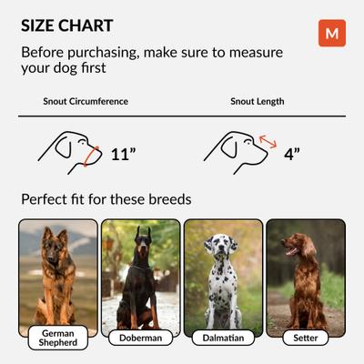 Show full view: CollarDirect German Shepherd Leather Dog Muzzle, Chestnut Brown, Medium slide 2 of 7