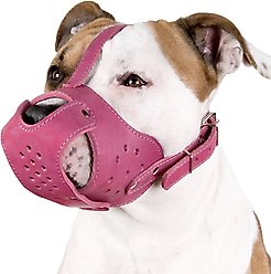 CollarDirect Leather Basket Dog Muzzle, Pink