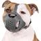 Show in main carousel: CollarDirect Leather Basket Dog Muzzle, Grey slide 1 of 6