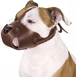 CollarDirect Leather Basket Dog Muzzle, Brown