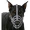 Show in main carousel: CollarDirect Doberman Leather Dog Muzzle, Grey, Medium slide 5 of 7