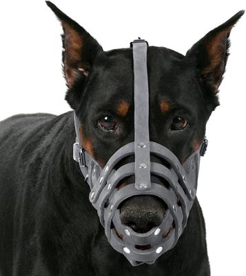 Show full view: CollarDirect Doberman Leather Dog Muzzle, Grey, Medium slide 5 of 7