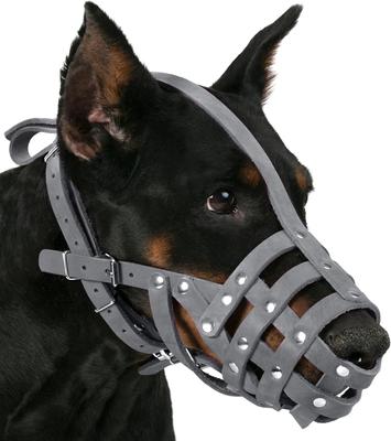 Show full view: CollarDirect Doberman Leather Dog Muzzle, Grey, Medium slide 6 of 7