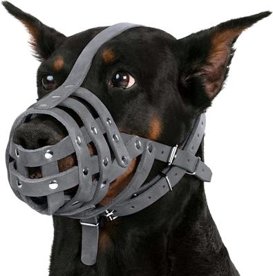 Show full view: CollarDirect Doberman Leather Dog Muzzle, Grey, Medium slide 4 of 7