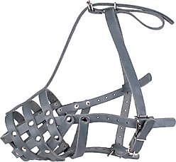 CollarDirect Doberman Leather Dog Muzzle, Grey, Large