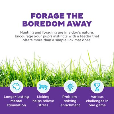 Show full view: Outward Hound by Nina Ottosson Lick N' Flip Treat Puzzle Enrichment Dog Toy slide 3 of 11