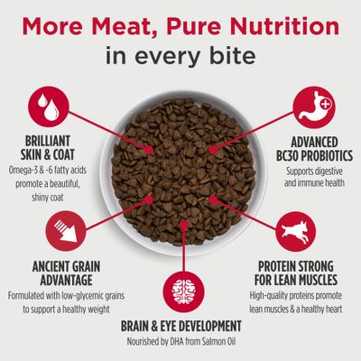 Show full view: Nulo Frontrunner Ancient Grains Chicken, Oats & Turkey Puppy Dry Dog Food, 25-lb bag slide 4 of 12