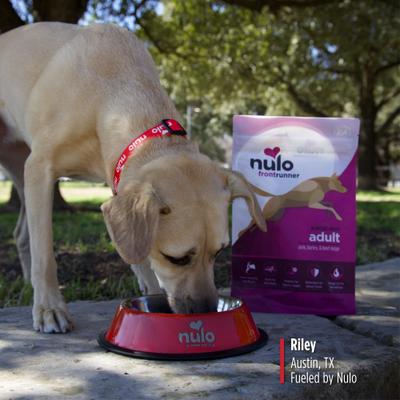 Show full view: Nulo Frontrunner Ancient Grains Pork, Barley, & Beef Recipe High-Protein Adult Dry Dog Food, 5-lb bag slide 8 of 11