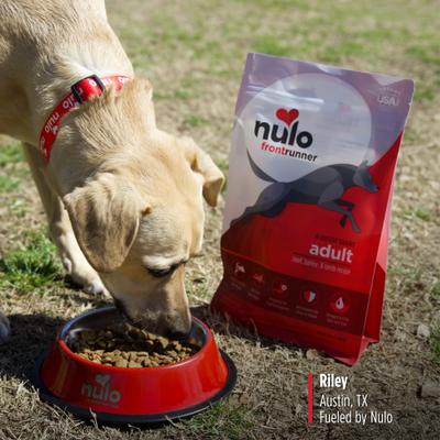 Show full view: Nulo Frontrunner Ancient Grains Beef, Barley, & Lamb Recipe High-Protein Adult Dry Dog Food, 25-lb bag slide 8 of 12