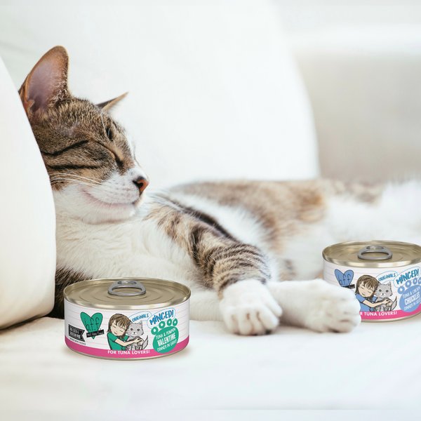 Spring Naturals Grain-Free Minced Chicken Entree in Gravy with a Medley of Garden Greens & Berries Canned Cat Food