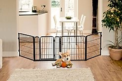 FXW Indoor Playpen with Gate, Black, 24-in, 4-panel