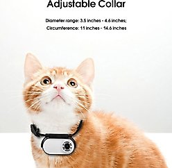 MEGAPAWS Adjustable Degree Mini Camera Dog & Cat Collar Strap, Black slide 2 of 3