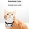 Show in main carousel: MEGAPAWS Adjustable Degree Mini Camera Dog & Cat Collar Strap, Black slide 2 of 3