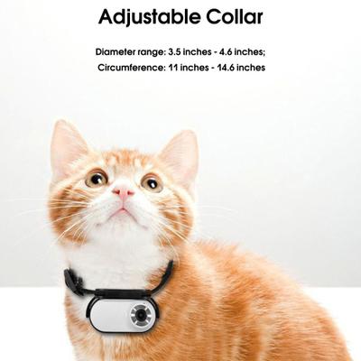 Show full view: MEGAPAWS Adjustable Degree Mini Camera Dog & Cat Collar Strap, Black slide 2 of 3