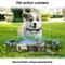 Show in main carousel: MEGAPAWS Collar-Mounted Wireless Mini Video Recording Easy to Attach Pet Action Camera slide 2 of 11