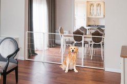 FXW Indoor Playpen with Gate, White, 40-in, 4-panel