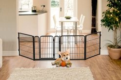 FXW Indoor Playpen with Gate, Black, 40-in, 4-panel