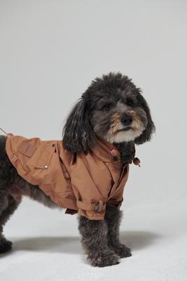 Show full view: maxbone Talon Dog Raincoat, Camel, Medium slide 3 of 4