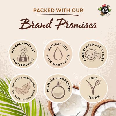 Show full view: Pet Head Sensitive Soul Dog Grooming Wipes, 100 count slide 6 of 9