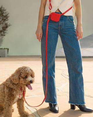 Show full view: Sunny Tails Cloud Lite Waterproof Dog Harness, Cherry Red, Large: 26 to 38-in chest slide 5 of 9