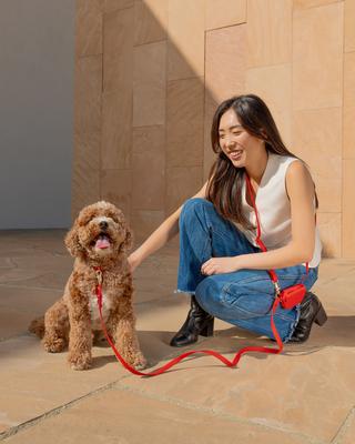 Show full view: Sunny Tails Cloud Waterproof Dog Collar, Cherry Red, Medium: 12 to 18-in neck, 3/4-in wide slide 4 of 6