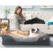 Show in main carousel: BingoPaw Lounger Sofa Orthopedic Dog Bed, Grey, X-Large slide 7 of 9