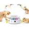 Show in main carousel: Potaroma 3 in 1 Automatic Interactive Butterfly Cat Toy slide 1 of 7