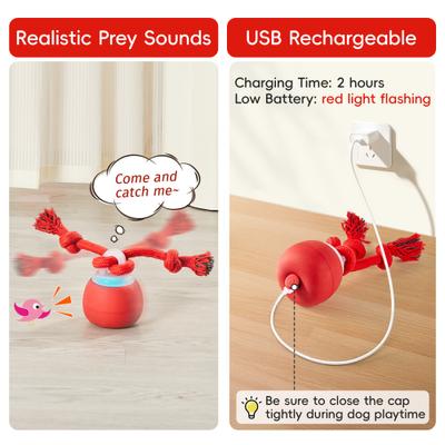 Show full view: Potaroma Interactive Rechargeable Squeaky Dog Ball Toy, Red, Red slide 6 of 8