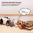 Show in main carousel: Potaroma Chirping Birds Cat Toy with Catnip Silvervine, 2 count slide 2 of 8
