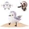 Show in main carousel: Potaroma Rechargeable Flapping Bird Sandpiper Cat Toy slide 1 of 8