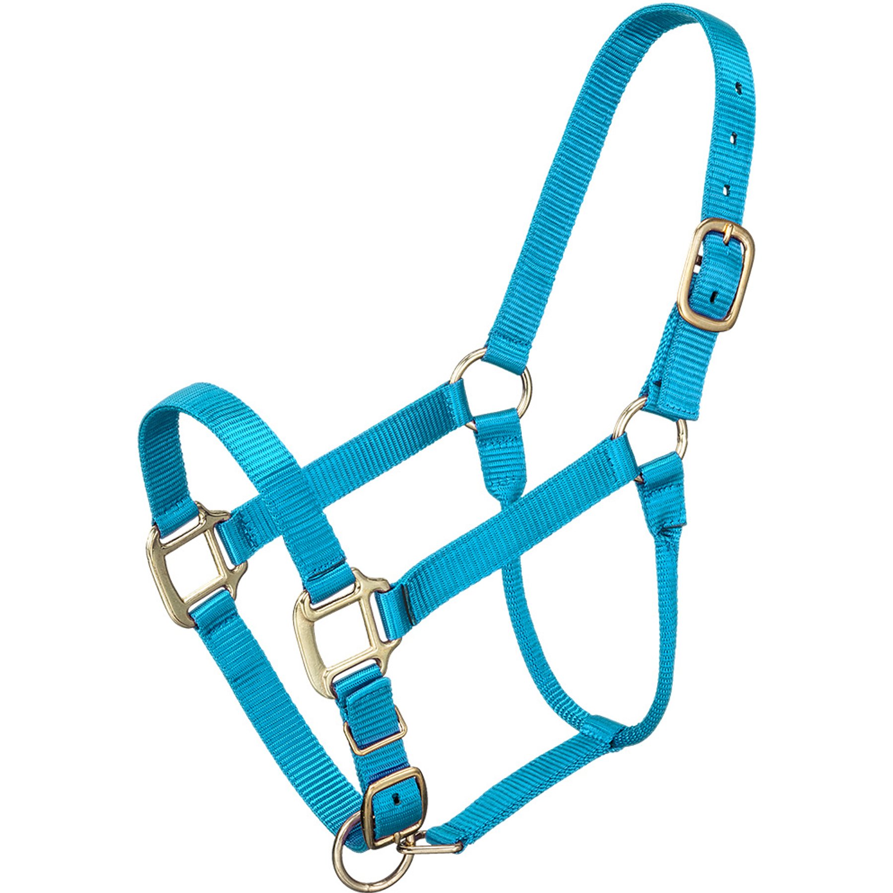 Tough1 Premium Horse Halter, Turquoise, Yearling