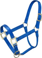 Tough1 Premium Horse Halter, Royal Blue, Pony