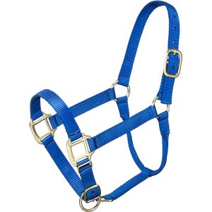 Tough1 Premium Horse Halter, Royal Blue, Pony