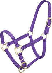 Tough1 Premium Horse Halter, Purple, Weanling