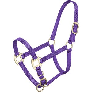Tough1 Premium Horse Halter, Purple, Weanling