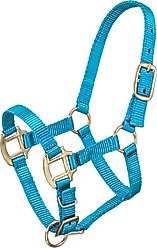 Tough1 Premium Horse Halter, Turquoise, Suckling