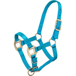 Tough1 Premium Horse Halter, Turquoise, Suckling