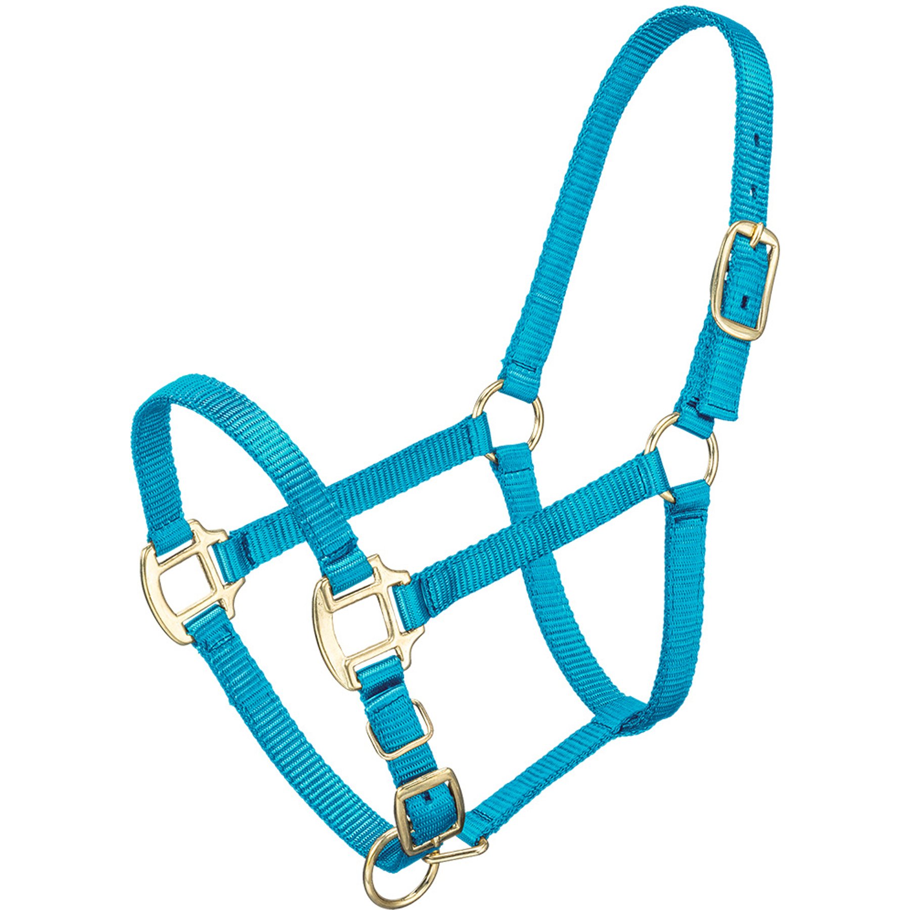 Tough1 Premium Horse Halter, Turquoise, Weanling