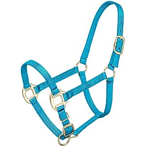 Tough1 Premium Horse Halter, Turquoise, Weanling